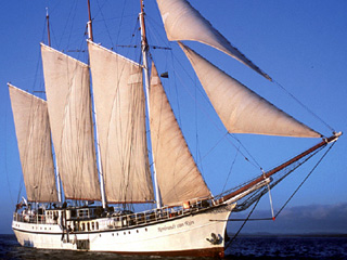 S/V REMBRANDT VAN RIJN , hotel, sistemazione alberghiera