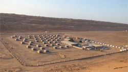 ARABIAN ORYX CAMP, 