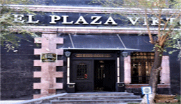 PLAZA VIKTORIA HOTEL, 