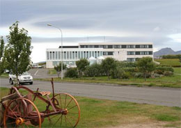 HOTEL HOFN , hotel, sistemazione alberghiera