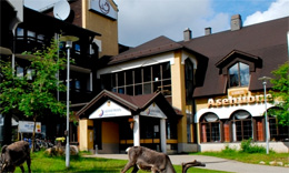 HOTEL RIEKONLINNA , hotel, sistemazione alberghiera