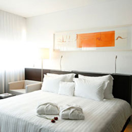 HOTEL VIP GRAN LISBONA , hotel, sistemazione alberghiera