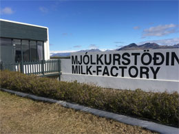 MILK FACTORY GUESTHOUSE , hotel, sistemazione alberghiera