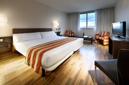 HOTEL PUERTA DE BURGOS , hotel, sistemazione alberghiera