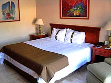 HOLIDAY INN TUXTLA , hotel, sistemazione alberghiera